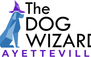 Fayetteville logo web retina