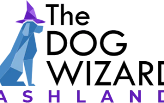 Ashland logo web retina