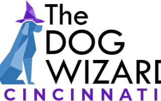 Cincinnati logo web retina