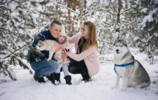 Dog safety tips