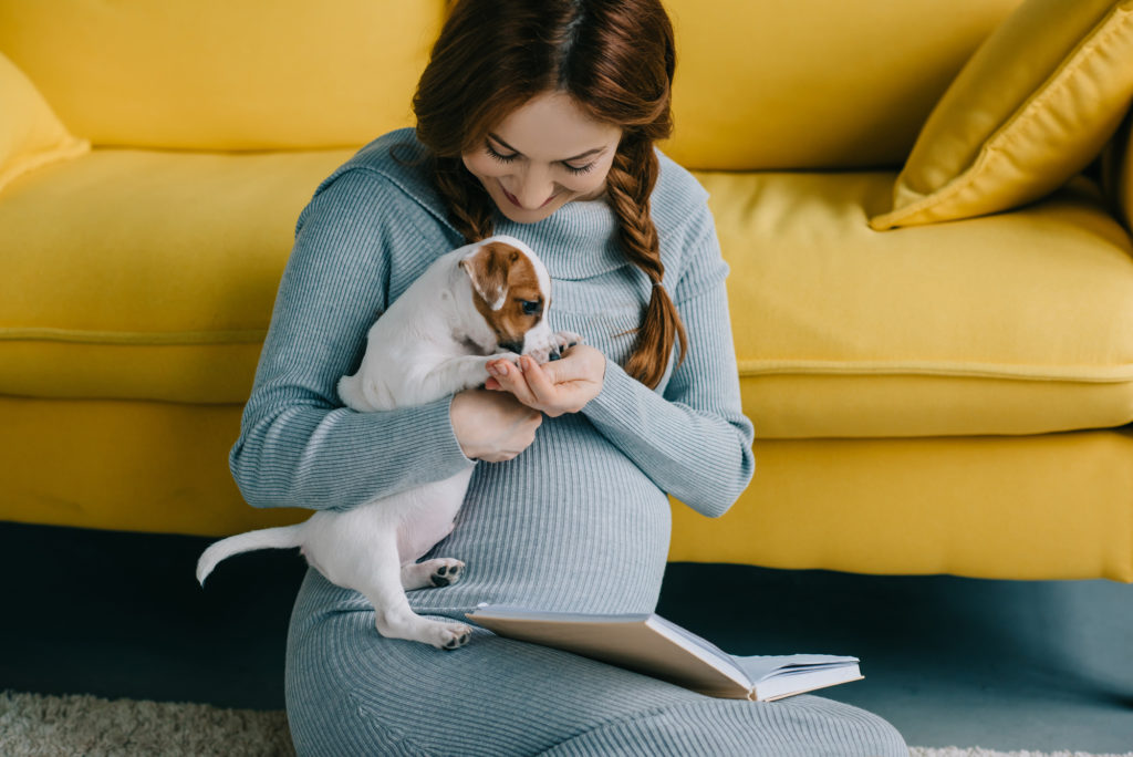 Pregnant woman training dog for new baby