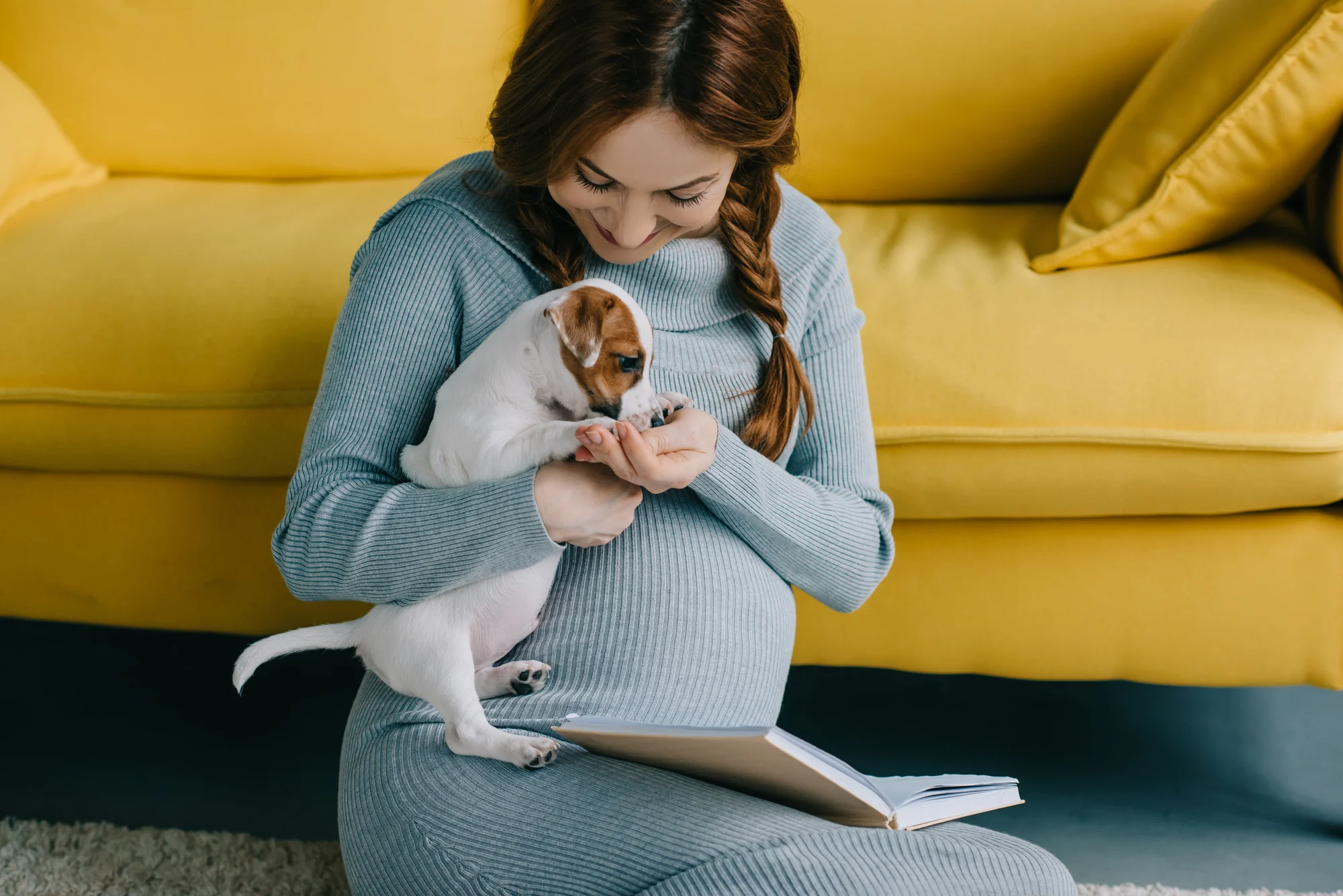 The Dog Wizard baby training Pregnant woman training dog for new baby