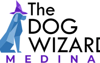 Medina logo web retina