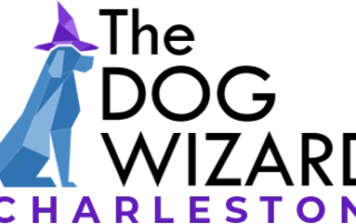 Charleston logo web retina