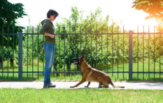 How to become a dog trainer - A woman training her dog within restricted area