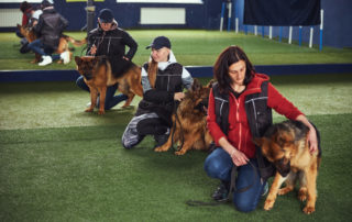 Dog trainers with their dogs during session