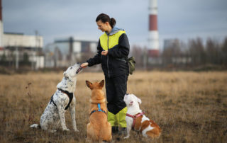 Dog trainer with three dogs