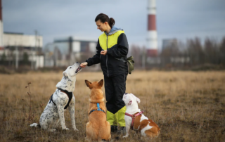 Dog trainer with three dogs