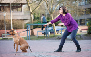 Young woman having difficulty walking her pet and is wondering why does my dog pull on the leash.