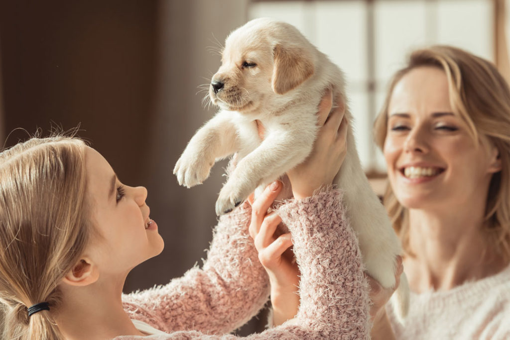 young girl holding a puppy before attending our dog training company