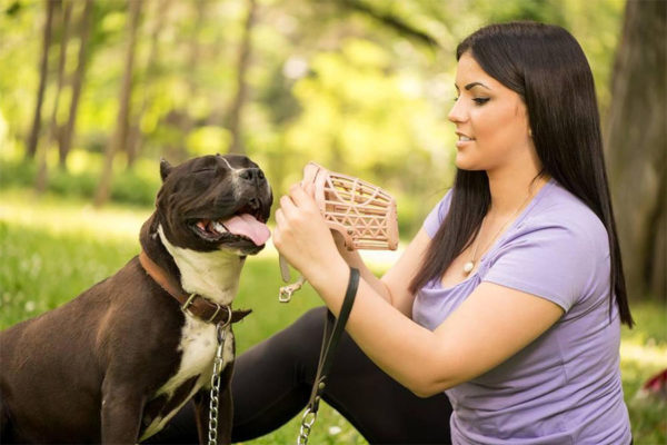 Young female owner putting a muzzle to her dog.