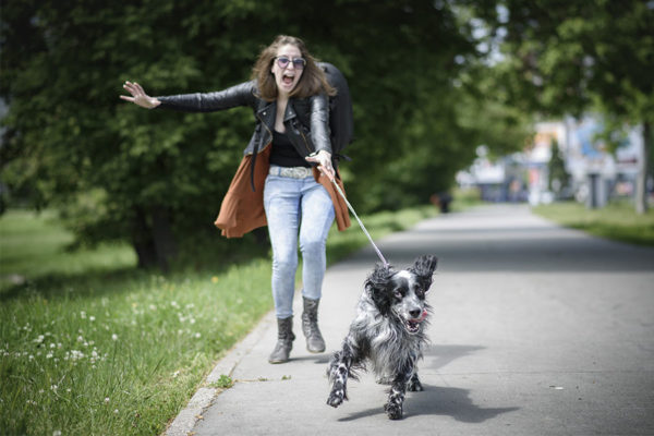 Dog pulling on a lead during a walk.