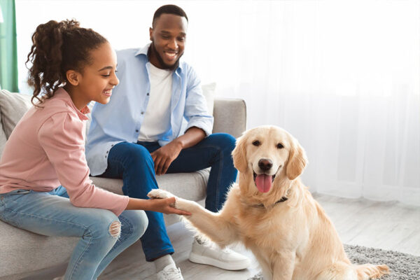 Smiling young girl playing with her pet dog in the living room.