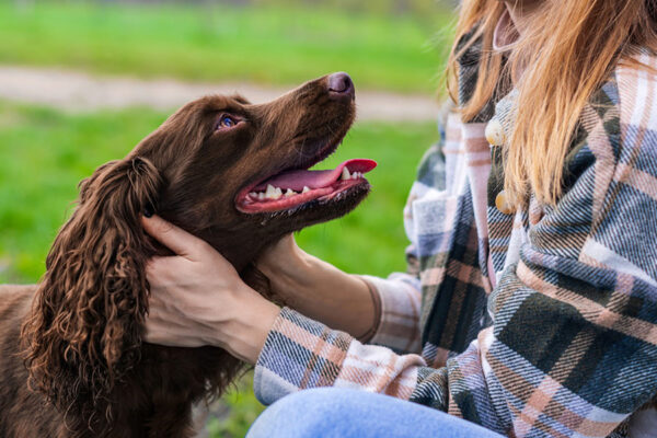 A professional dog trainer conducting a basic obedience class at The Dog Wizard, guiding a group of dogs through essential commands like sit, stay, and down.