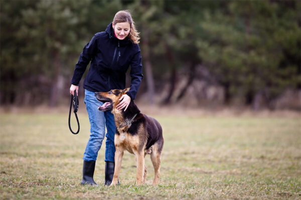 One-on-one private training session with a dedicated dog trainer, utilizing positive reinforcement techniques to teach and reinforce desired behaviors.