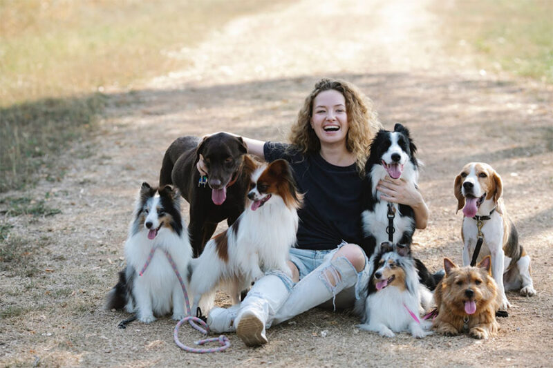 Beagle with other dogs posing for a photo at specialty dog training.