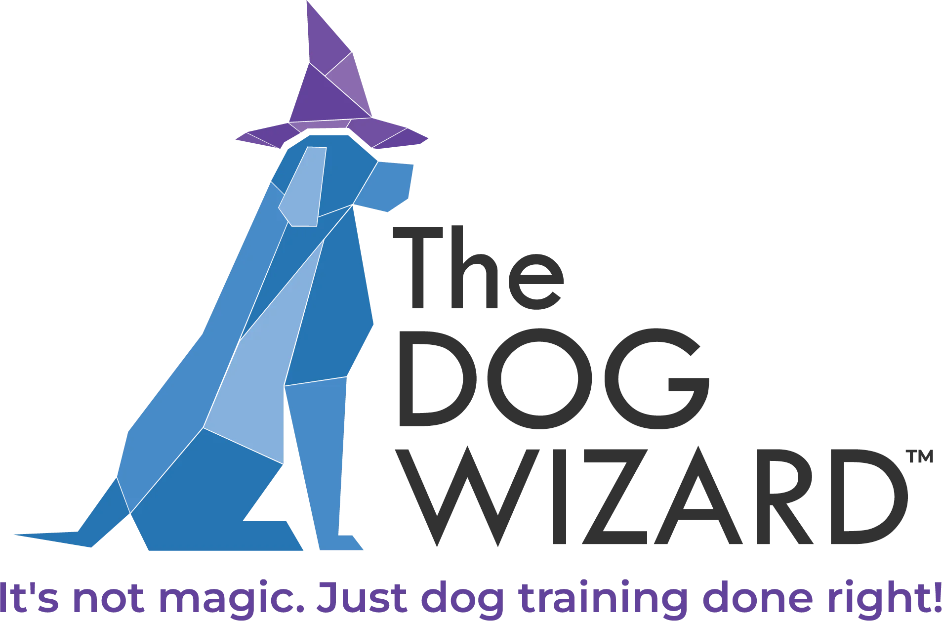 The Dog Wizard Academy