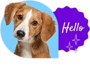 tdw-footer-doggo tdw footer doggo