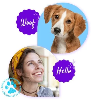 woof-min woof min
