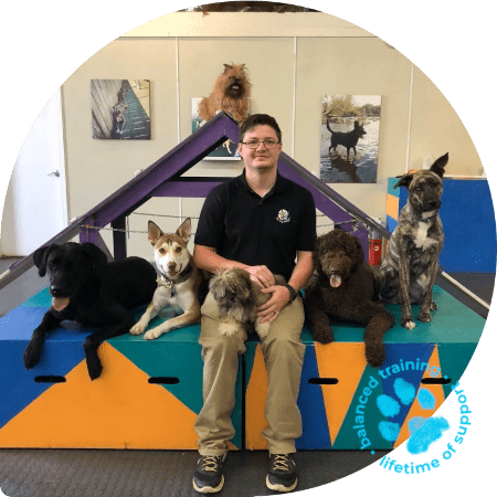 board and traing min