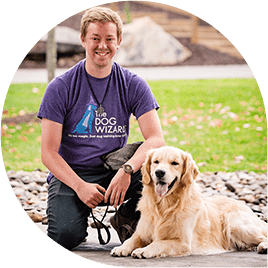 dogwizard-headshots-50-min dogwizard headshots min