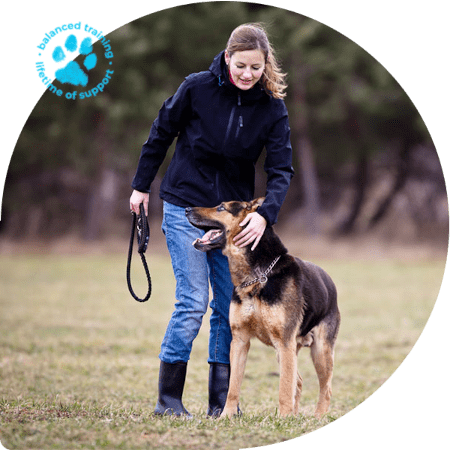 private-dog-training-lessons-min private dog training lessons min