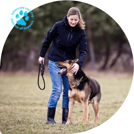private-dog-training-lessons-min private dog training lessons min