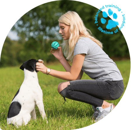 specialty dog training min