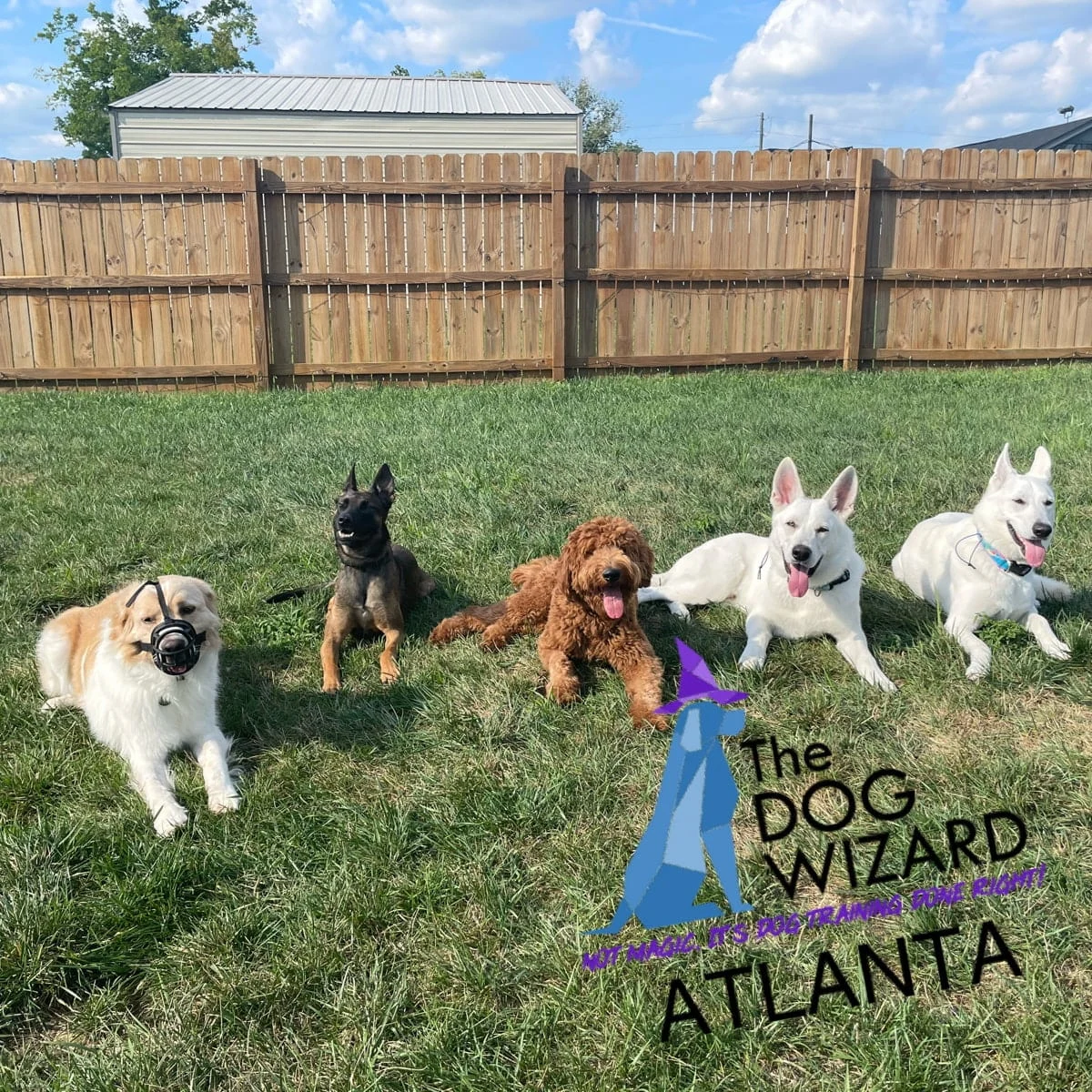 Atlanta DW