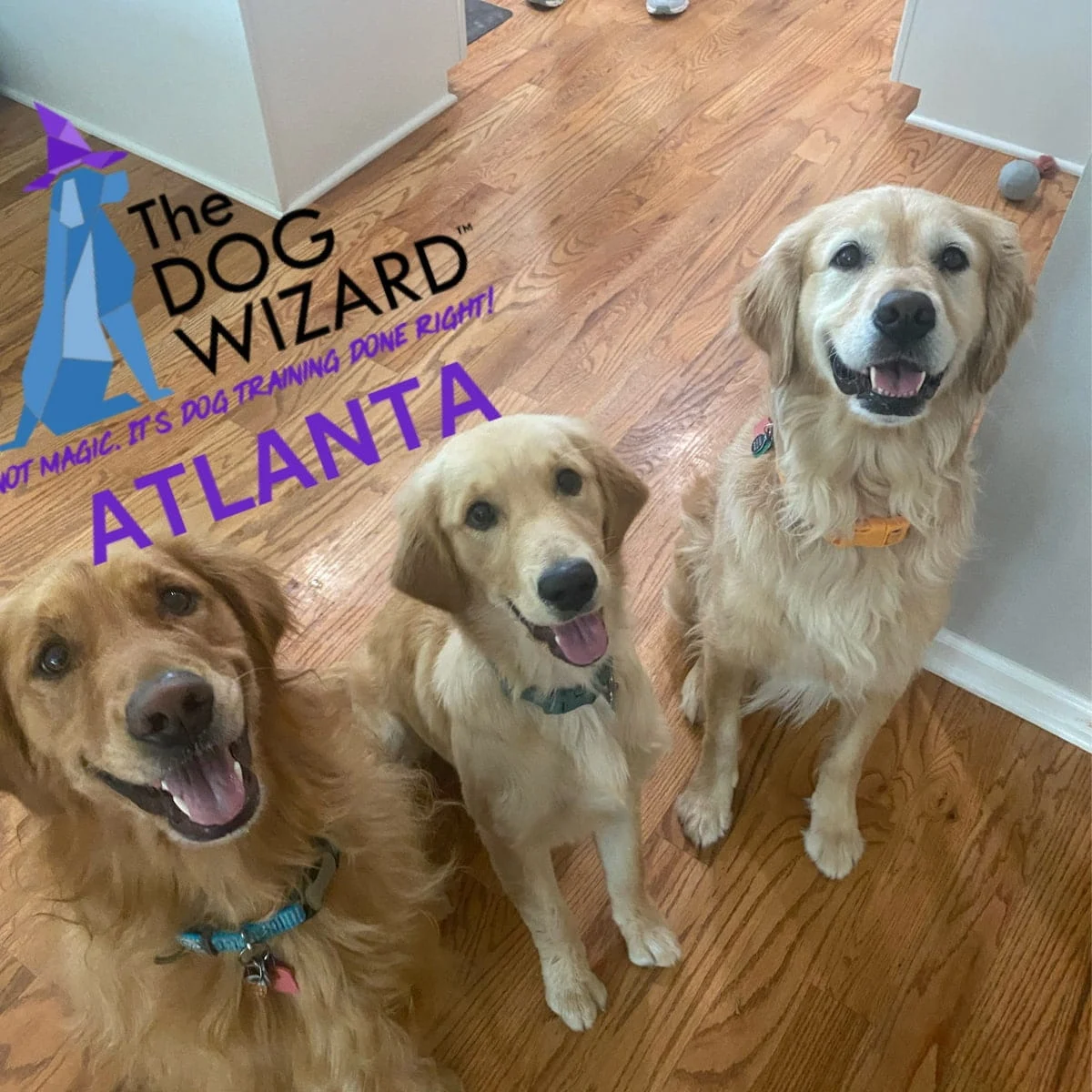 Atlanta DW