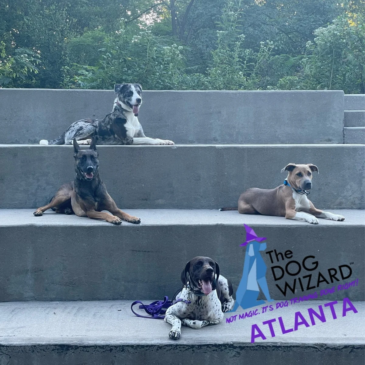 Atlanta DW
