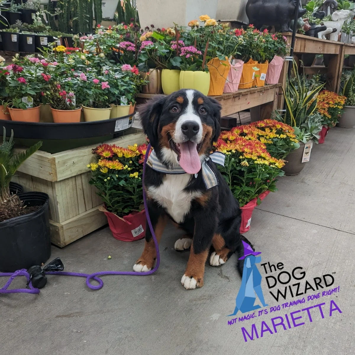 Marietta DW