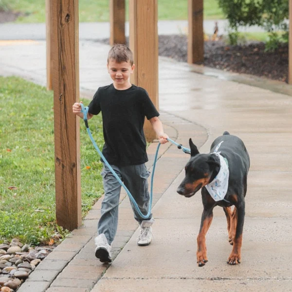 dogwizard kidsdogs min