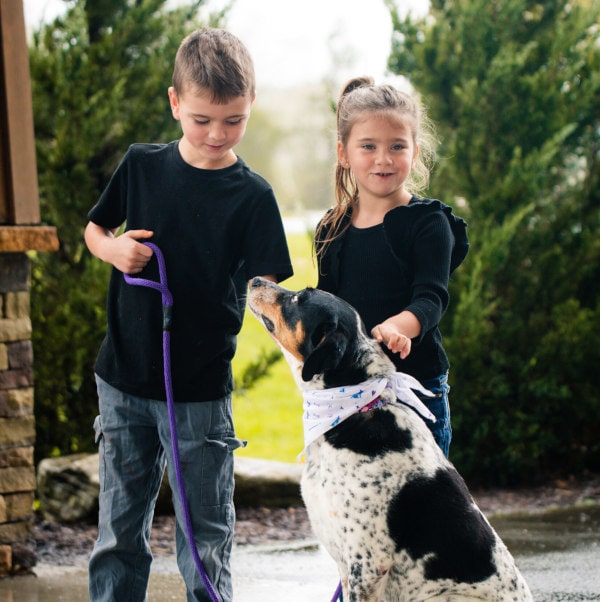 dogwizard-kidsdogs-2-scaled-min