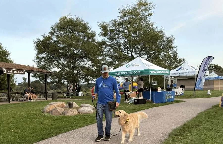 A Dog Wizard trainer practicing loose-leash walking with a golden retriever at an outdoor event